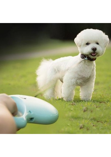 Rulet Tasma Köpek Için 5 M Köpek Tasma Kurşun Otomatik Geri Çekilebilir Tasmalar Küçük Orta Köpekler Için Kedi Çekiş Halat Kurşun Malzemeleri | Tasmalar (Yurt Dışından) fiyatları