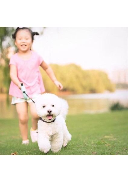 Rulet Tasma Köpek Için 5 M Köpek Tasma Kurşun Otomatik Geri Çekilebilir Tasmalar Küçük Orta Köpekler Için Kedi Çekiş Halat Kurşun Malzemeleri | Tasmalar (Yurt Dışından) modelleri