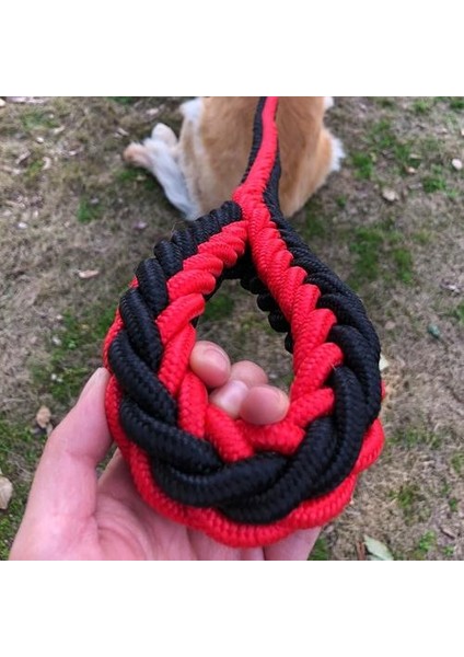 Küçük, Orta ve Büyük Köpekler, Köpek Yürüyüşü, Çekiş Halatı, Eğitim Köpek, P Zincir Köpek Yaka Pet Malzemeleri Tasma P Halat Rahat | Setleri (Yurt Dışından) fiyatları