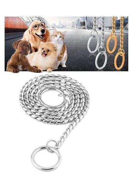Pet Yakaları Pet Boyun Kayışı Köpek Boyun Bant Yılan Zinciri Köpek Zinciri Katı Metal Zincir Köpek Yaka: 60CM (Gümüş) (Yurt Dışından)