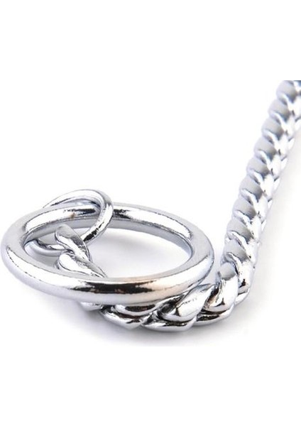 Pet Yakaları Pet Boyun Kayışı Köpek Boyun Bant Yılan Zinciri Köpek Zinciri Katı Metal Zincir Köpek Yaka: 60CM (Gümüş) (Yurt Dışından) modelleri