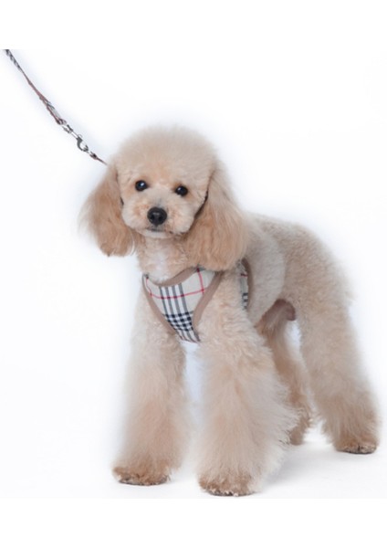 Köpek Yaka Chihuahua Köpek Koşum ve Tasma Pet Aksesuarları | Koşumlar (Yurt Dışından) indirimleri