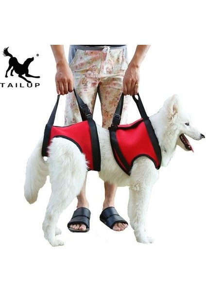 Köpek Asansörleri Destek Yelek Pet Yardım Ürünler Yaka Tasma Köpekler Için Kolu Kaldırma Demeti ile Köpek Koşum | Köpek Koşum | Tasma Köpeği Tasma Koşum (Yurt Dışından) indirimleri