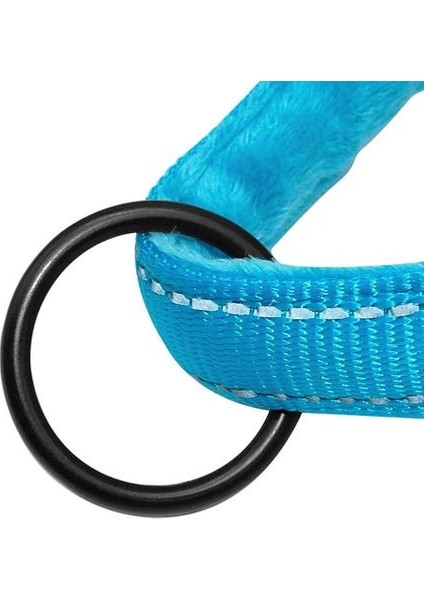 Naylon Yansıtıcı Pet Köpek Koşumları Yelek Yumuşak Flanel Yastıklı Yontma Gönderme Kayışı Kablo Demeti Yürüyüş Eğitimi Küçük Orta Köpekler | Koşum Yelek | Yansıtıcı Petpet Koşum (Mavi) (Yurt Dışından) fırsatları