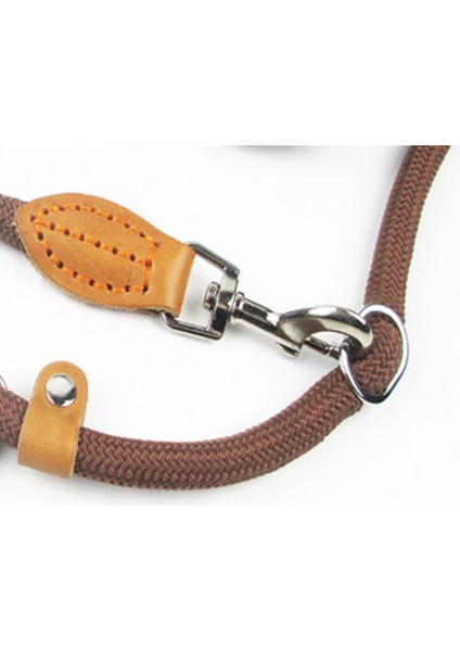 Çok Fonksiyonlu Köpek Tasma P Zincir Kayma Yaka Pet Yürüyüş Talepleri Naylon Köpek Halat Yavru Küçük Orta Köpekler Için Pet Traction | Tasmalar (Kahverengi) (Yurt Dışından) fırsatları