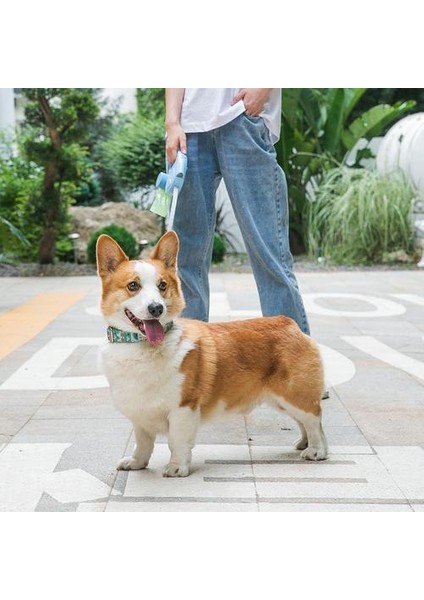 5 M Geri Çekilebilir Tasma Köpek Otomatik Uzatma Naylon Yavru Pet Tasmalar Kurşun Dayanıklı Köpek Yürüyüş Koşu Tasma Halat Pet Malzemeleri | Tasmalar (Yurt Dışından)