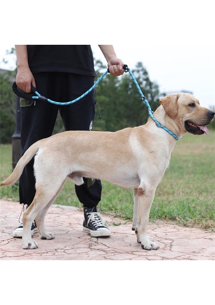 Kalınlık Pet Tasmalar Çift Kolu Yansıtıcı Köpekler Tasma Naylon Yaka Kemer Halat 1.6 M Ayarlanabilir Eğitim Evcil Kemer Malzemeleri | Tasmalar (Yurt Dışından)