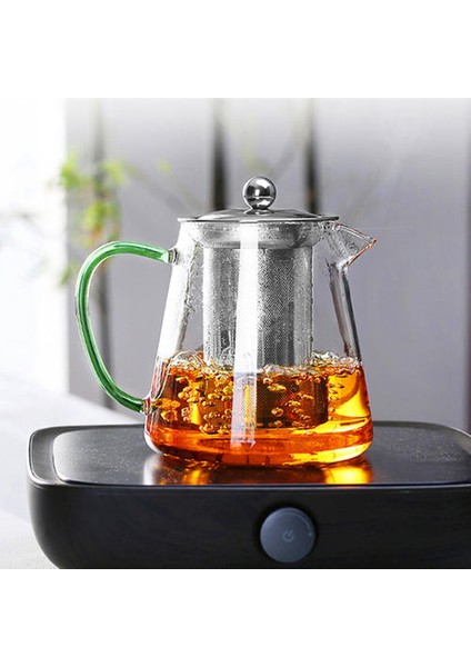 1 Adet 550 Mlthickened Cam Çaydanlık Isıya Dayanıklı Borosilikat Cam Çiçek Çay Potu Paslanmaz Çelik Filtre ile Su Isıtıcısı Cam Sürahi | Sürahi (Yurt Dışından)