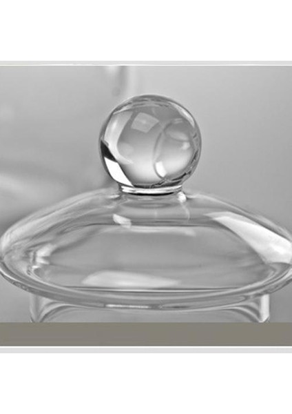 Sıcak Drinkware 600 ml Çay Seti Borosilikat Cam Uygun Isıtmalı Çaydanlık Şeffaf Ofis Çiçek Çay Pot | Pot Şeffaf | Pot Çaydanlık Cam Çaydanlık (Yurt Dışından)