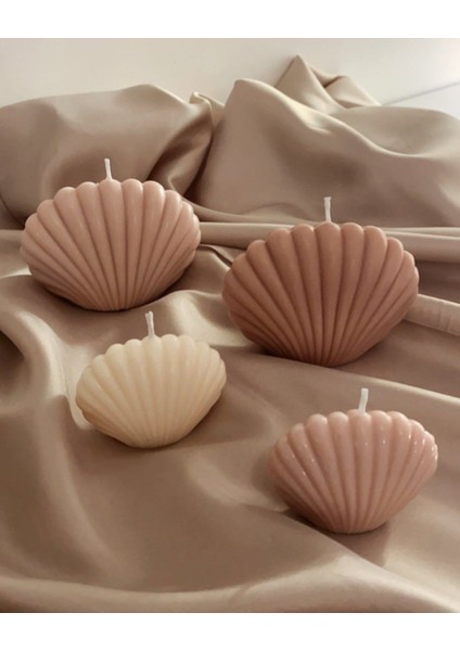 Dekoratif Kokulu Doğal Istiridye Mum Soya Wax