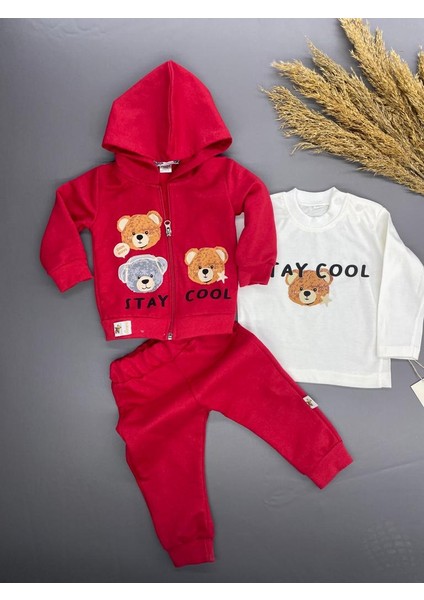 Stay Cool Ayı Baskılı 2 Ip Mevsimlik Erkek Bebek Hırkalı 3 Lü Takım