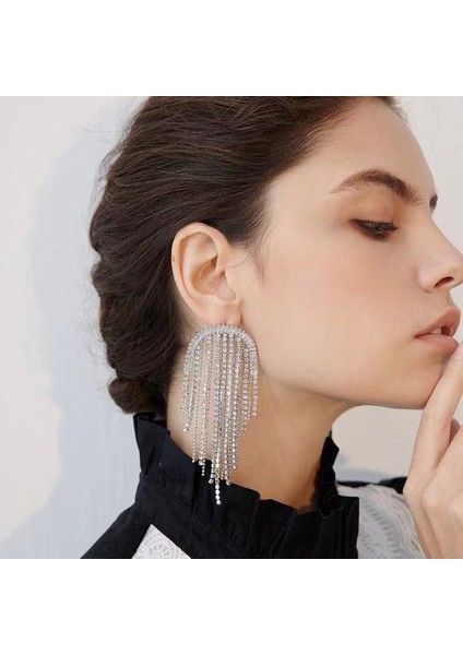EH15708YS Yeni Rhinestone Uzun Püskül Küpe Dökümlü Kadın Küpe Akşam Yemeği Parti Düğün Aksesuarları Moda Küpe Lüks Takı (Yurt Dışından) fırsatları