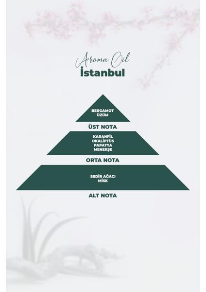 Aroma Oil Koku Kartuş Esansı (İstanbul Kokusu - 500ML)