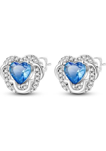 KTE034 2023 Yıldız ve Ay Küpe 925 Ayar Gümüş Güzel Tavşan ve Havuç Düğün Küpe Kadın Çiviler Küpe Moda Takı (Yurt Dışından)