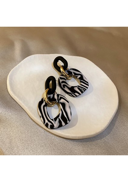 12 Lüks Büyük Siyah Beyaz Küpe Kadın Asetat Plaka Hayvan Zebra Desen Abartılı Geometrik Küpe Takı Aksesuarları (Yurt Dışından)