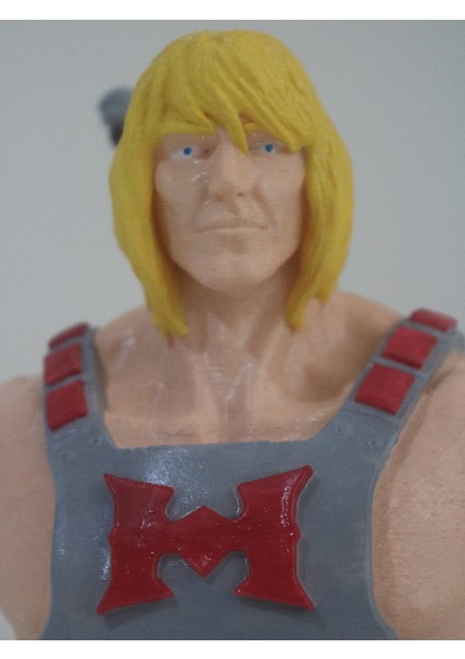 He-Man Bust - 15X9X20CM