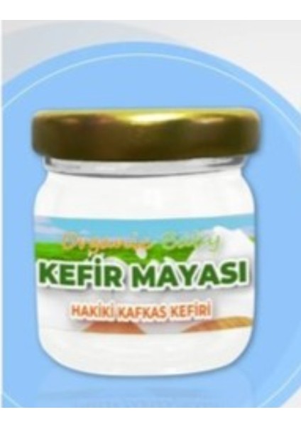 Kafkas Kefir Mayası fiyatları