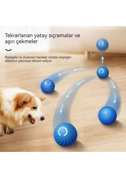 Yerçekimi Zıplayan Top Elektrikli Akıllı Köpek Komik Eşlik Eden Köpek Yürüyüşü (Yurt Dışından)