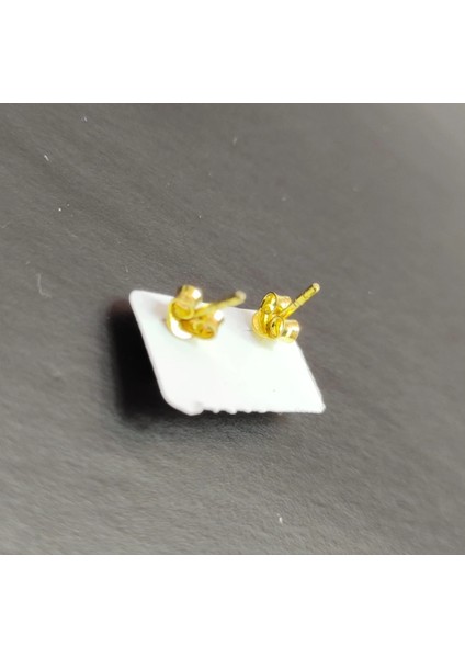 Gold Altın Güvercin Kuş Gümüş Küpe fiyatları