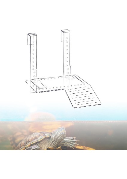 Akrilik Kaplumbağa Yüzen Platform Sürüngen Tı Iskelesi Sürüngen Habitatları Boyut L (Yurt Dışından)