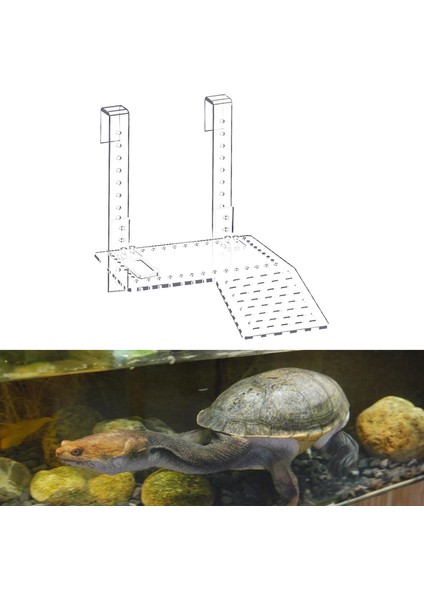 Akrilik Kaplumbağa Yüzen Platform Sürüngen Tı Iskelesi Sürüngen Habitatları Boyut L (Yurt Dışından)
