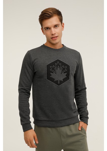 ml Aron 16SD4001 3pr Antrasıt Melanj Erkek Sweatshirt