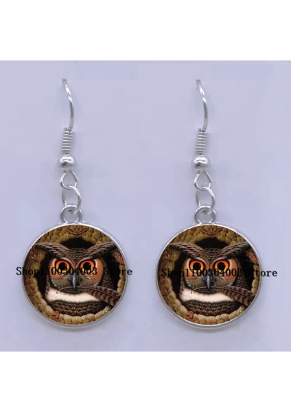 16 Moda Küpe Sevimli Baykuş Fotoğraf Cabochon Cam Charm Küpe Yüksek Kalite Kadın Deldi Küpe Hediyeler (Yurt Dışından)