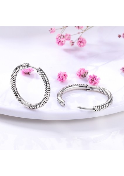 KTE034 Hapour Gümüş Renk Hoop Küpe Yuvarlak Cz Zirkon Kalp Hoop Küpeler Kadınlar Için Moda Gümüş Küpe Takı Yapımı Hediye (Yurt Dışından)