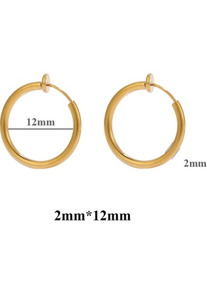 Altın 12MM 10 Adet 304 Paslanmaz Çelik 2mm Tel Kulak Klipleri Sahte Hoop Küpe Olmadan Kadınlar Için Kulak Delikleri Klip Dıy Takı Yapımı Aksesuarları (Yurt Dışından)