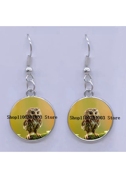 17 Moda Küpe Sevimli Baykuş Fotoğraf Cabochon Cam Charm Küpe Yüksek Kalite Kadın Deldi Küpe Hediyeler (Yurt Dışından)