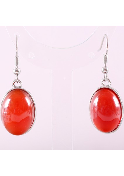 Ejderha Kan Taşı Doğal Taş Beyaz Opal Howlite Dangle Küpe Kadınlar Için Mücevher Mavi Lapis Cabochon Cab Oval Boncuk Damla Küpe Moda Takı (Yurt Dışından) indirimleri