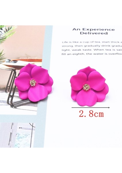 EK3932 Muhteşem Gül Kırmızı Renk Çiçek Ayı Kelebek Damla Küpe Kadınlar Için Yeni Yaz Geometrik Buklet D'oreille Sevimli Düğün Takı (Yurt Dışından)