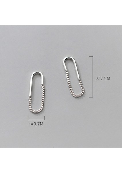 BKEJ372-SILVER Woozu Hakiki 925 Ayar Gümüş Geometrik Oval Püskül Zincir Damla Küpe Kadınlar Için Düğün Ofis Takı Pendientes 2021 Sıcak (Yurt Dışından)