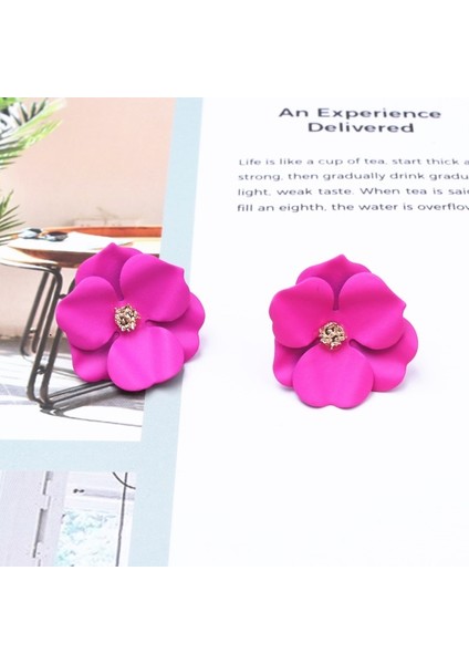 EK4195 Muhteşem Gül Kırmızı Renk Çiçek Ayı Kelebek Damla Küpe Kadınlar Için Yeni Yaz Geometrik Buklet D'oreille Sevimli Düğün Takı (Yurt Dışından) fırsatları
