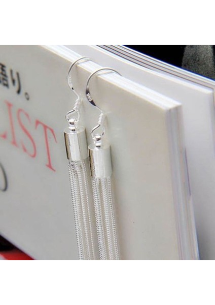 02 Zarif Takı Moda Kadın Asil Püsküller Gümüş Kaplama Uzun Beyaz Kanca Dangle Zincir Küpe Kadın Gümüş Kaplama 13.5 cm (Yurt Dışından) indirimleri