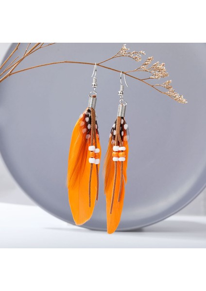 F Bohemian Püskül Küpe Kadınlar Için Dangle Uzun Küpe Tüy Boho Damla Küpe Tohum Boncuk Vintage Takı Brincos Hediye 2021 (Yurt Dışından) modelleri