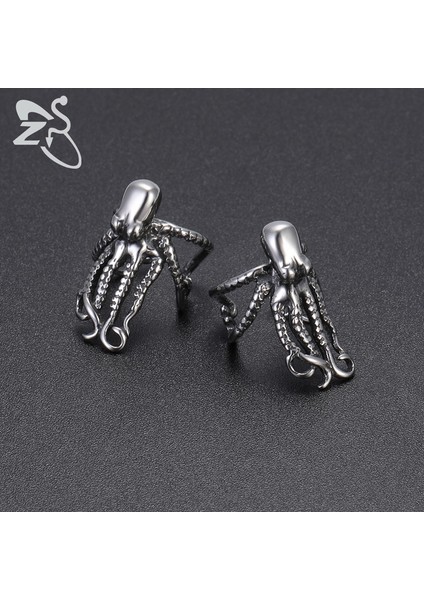18 Zs 2 Adet Paslanmaz Çelik Küpe Piercing Olmadan Punk Olmayan Deldi Klip Küpe Kulak Manşetleri Kadın Erkek Sahte Piercing Takı (Yurt Dışından) indirimleri