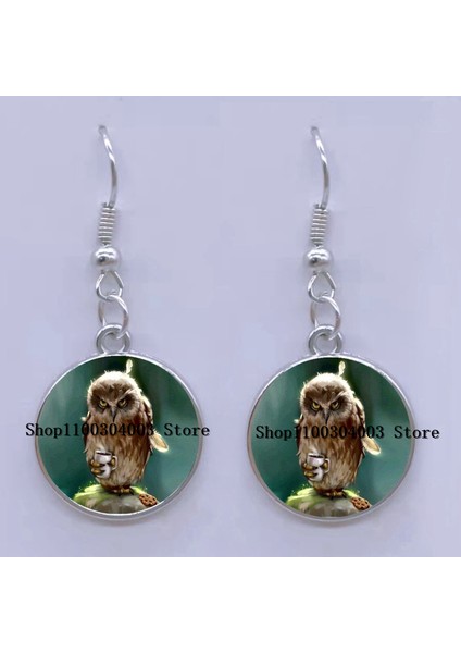 52 Moda Küpe Sevimli Baykuş Fotoğraf Cabochon Cam Charm Küpe Yüksek Kalite Kadın Deldi Küpe Hediyeler (Yurt Dışından)