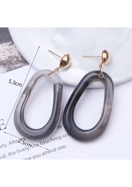ES3720 Gri Renk Vintage Dangle Küpe Kadınlar Için Degrade Reçine Akrilik Bildirimi Damla Küpe Avrupaamerikan Kulak Aksesuarları (Yurt Dışından)