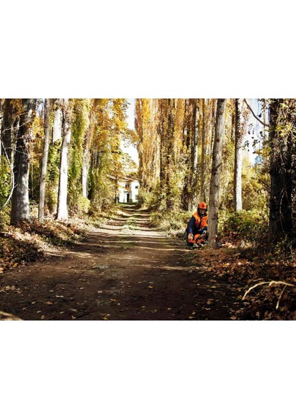 445-II Motorlu Testere fırsatları