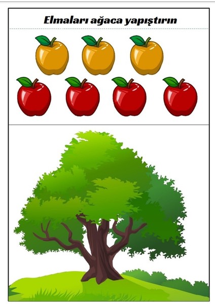 Laminasyonlu Kes - Yapıştır Eğitim Seti