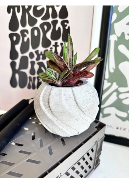 Dekoratif Beton Bitki ve Sukulent Saksısı, Obje, Mumluk