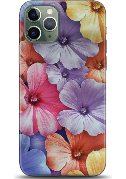 Apple iPhone 12 Mini Kılıf Hd Baskılı Kılıf - Casehub 0484