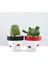 Mini Toprak Saksı - 4cm 5