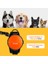 3 M Geri Çekilebilir Köpek Tasma Ayarlanabilir Bilek Kayışı Koşu Koşu Pet Çekiş Halat Terrier Tasma Kemer Köpek Ürün | Tasmalar (Yurt Dışından) 3