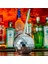 Parlak Simli Disko Topu Kokteyl Hasır Fincan Gece Kulübü Tipsy Parti Şarap Cam Taşınabilir (Yurt Dışından) 3