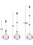 Ayarlanabilir Metal Somun Toplayıcı Golf Tenis Topları Toplama Araçları Meşe Palamudu Seçici Büyük Top (Yurt Dışından) 3