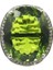 Yüzük Sz 8 40X21MM Sıcak Satış Büyük Oval Narin Ince Kesim 17.5g Düzenlendi Yeşil Peridot Cz Kadınlar Arkadaş Gümüş Kolye Küpe Yüzük (Yurt Dışından) 1