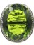 Yüzük Sz 8 40X21MM Sıcak Satış Büyük Oval Narin Ince Kesim 17.5g Düzenlendi Yeşil Peridot Cz Kadınlar Arkadaş Gümüş Kolye Küpe Yüzük (Yurt Dışından) 4
