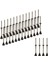 30X Golf Tees I 3 1/4 Inç Büyük Fincan Profesyonel Eğ Uygulaması Kararlı (Yurt Dışından) 5